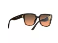 Michael Kors Karlie Solglasögon 2170U 390818