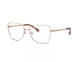 Michael Kors Memphis Glasögon MK 3035 1108