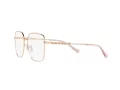 Michael Kors Naxos Glasögon MK 3056 1108