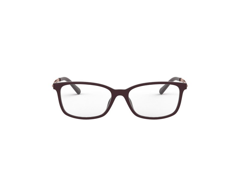 Michael Kors Telluride Glasögon MK 4060U 3344