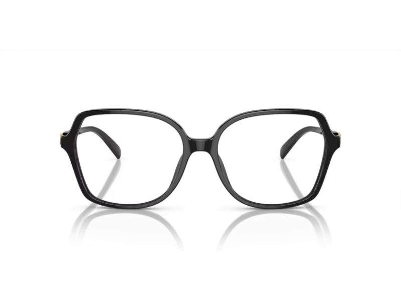 Michael Kors Bernal Glasögon MK 4111U 3005