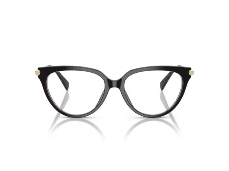 Michael Kors Windham Glasögon MK 4151U 3005