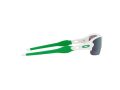 Oakley Flak Xxs Solglasögon OJ 9008 08