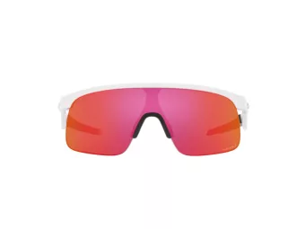 Oakley Resistor Solglasögon OJ 9010 04