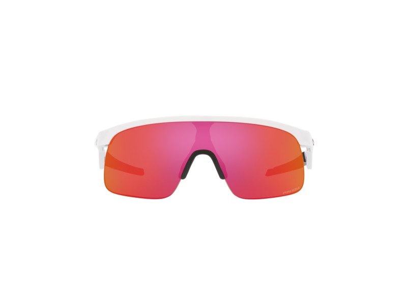 Oakley Resistor Solglasögon OJ 9010 04