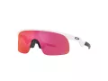Oakley Resistor Solglasögon OJ 9010 04