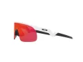 Oakley Resistor Solglasögon OJ 9010 04