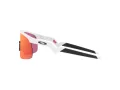 Oakley Resistor Solglasögon OJ 9010 04