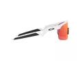 Oakley Resistor Solglasögon OJ 9010 04