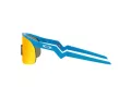 Oakley Resistor Solglasögon OJ 9010 05