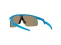 Oakley Resistor Solglasögon OJ 9010 05