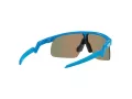 Oakley Resistor Solglasögon OJ 9010 05