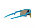 Oakley Resistor Solglasögon OJ 9010 05