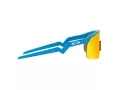 Oakley Resistor Solglasögon OJ 9010 05