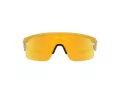 Oakley Resistor Solglasögon OJ 9010 08