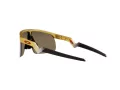 Oakley Resistor Solglasögon OJ 9010 08