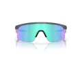 Oakley Resistor Solglasögon OJ 9010 16