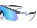 Oakley Resistor Solglasögon OJ 9010 16