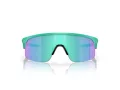 Oakley Resistor Solglasögon OJ 9010 19