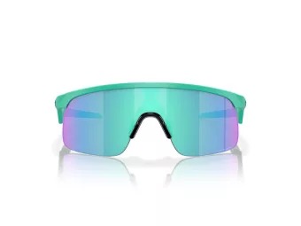 Oakley Resistor Solglasögon OJ 9010 19