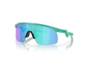 Oakley Resistor Solglasögon OJ 9010 19