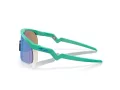 Oakley Resistor Solglasögon OJ 9010 19