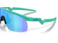 Oakley Resistor Solglasögon OJ 9010 19