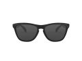 Oakley Frogskins Solglasögon OO 9013 24-306