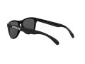 Oakley Frogskins Solglasögon OO 9013 C4
