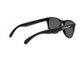 Oakley Frogskins Solglasögon OO 9013 C4