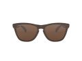 Oakley Frogskins Solglasögon OO 9013 C5