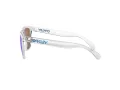 Oakley Frogskins Solglasögon OO 9013 D0