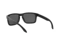 Oakley Holbrook Solglasögon OO 9102 D6