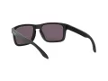 Oakley Holbrook Solglasögon OO 9102 E8