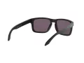 Oakley Holbrook Solglasögon OO 9102 E8