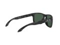 Oakley Holbrook Solglasögon 9102 E9