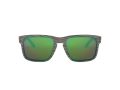 Oakley Holbrook Solglasögon 9102 J8
