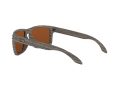 Oakley Holbrook Solglasögon 9102 J8