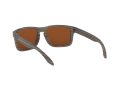 Oakley Holbrook Solglasögon 9102 J8