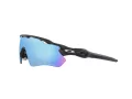 Oakley Radar Ev Path Solglasögon OO 9208 C0