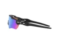Oakley Radar Ev Path Solglasögon OO 9208 C0