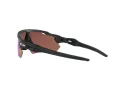Oakley Radar Ev Path Solglasögon OO 9208 C0