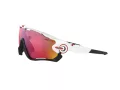 Oakley Jawbreaker Solglasögon OO 9290 05