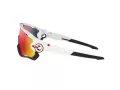 Oakley Jawbreaker Solglasögon OO 9290 05