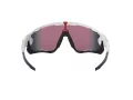 Oakley Jawbreaker Solglasögon OO 9290 05