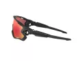 Oakley Jawbreaker Solglasögon OO 9290 48