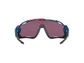 Oakley Solglasögon OO 9290 64