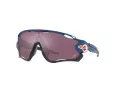 Oakley Solglasögon OO 9290 64