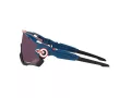 Oakley Solglasögon OO 9290 64