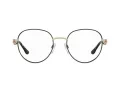 Pierre Cardin Glasögon PC 8923 RHL